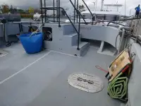 Katamaran till salu