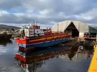 Ro-Ro ship till salu