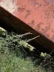 Pråm till salu