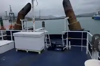 Bogserbåt till salu