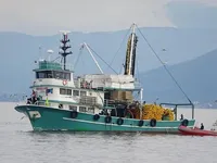 Purse seiner till salu