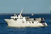 Trålare till salu