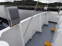 Kryssningsfartyg till salu