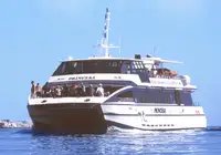 Katamaran till salu