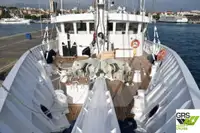 Kryssningsfartyg till salu