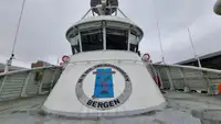 Kryssningsfartyg till salu