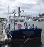 Arbetsbåtar till salu