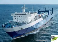 Ro-Ro ship till salu