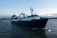 Trålare till salu
