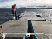 Arbetsbåtar till salu