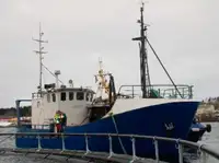 Trawler till salu
