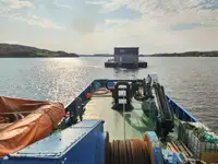 Bogserbåt till salu
