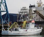 Containerskepp till salu