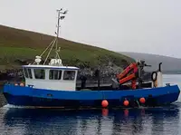 Arbetsbåtar till salu
