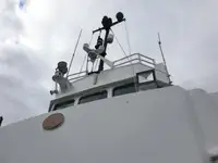 Arbetsbåtar till salu