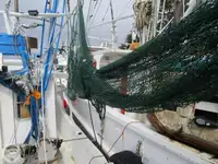 Trålare till salu