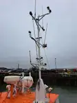 Bogserbåt till salu