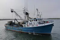 Purse seiner till salu