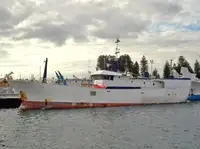 Långrevsfartyg till salu
