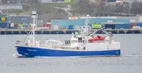 Purse seiner till salu