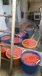 Bottentrålare till salu