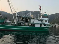 Purse seiner till salu