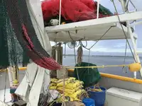 Trålare till salu