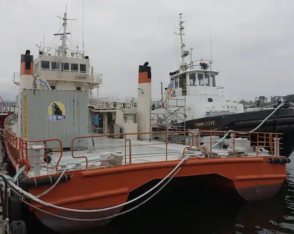 Containerskepp till salu