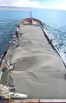 Containerskepp till salu