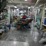 Purse seiner till salu