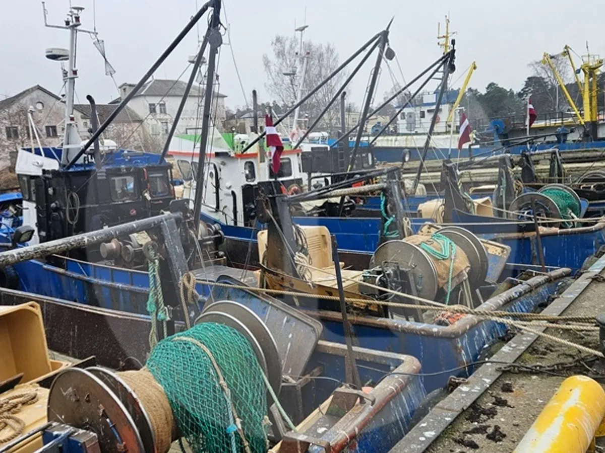 Levande fisktransportfartyg till salu