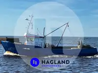 Levande fiskbärare till salu