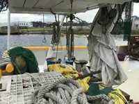 Trålare till salu