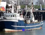 Bottentrålare till salu