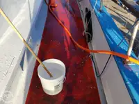 Färja till salu