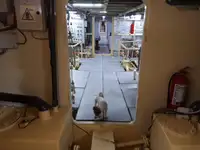 General Cargo/Multi-purpose till salu