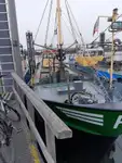 Trålare till salu