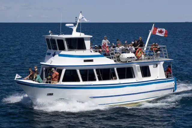 Kryssningsfartyg till salu