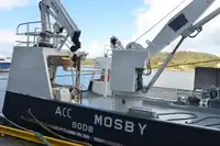 Containerskepp till salu