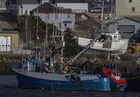 Purse seiner till salu