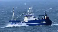 Trålare till salu