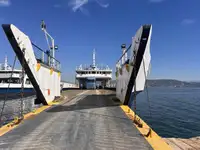 Landstigningsfarkost, Tank till salu
