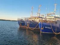 Trålare till salu