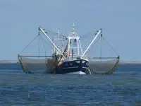 Trawler till salu