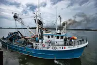 Purse seiner till salu