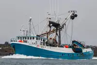 Purse seiner till salu