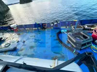 Bulkfartyg till salu