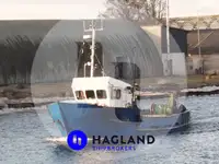 Levande fiskbärare till salu