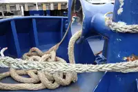 Bogserbåt till salu