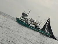 Purse seiner till salu